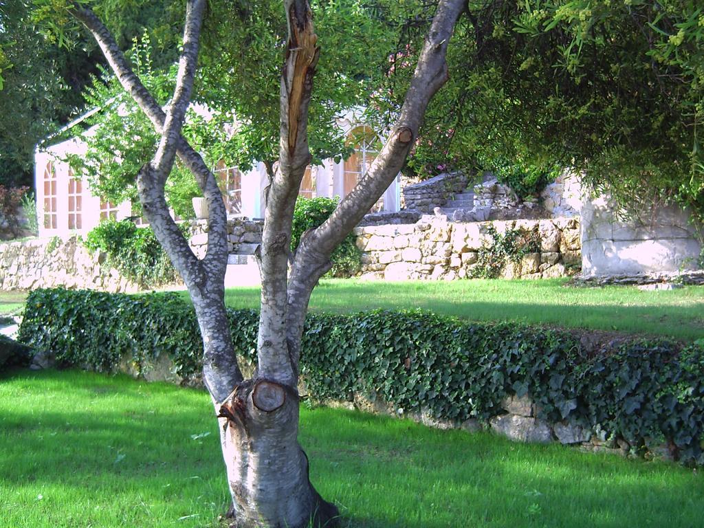 Domaine Du Mont Leuze Villefranche-sur-Mer Exterior foto